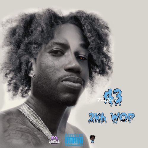 2K6 Wop cover art