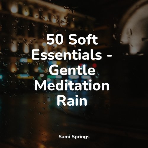 50 Soft Essentials - Gentle Meditation Rain