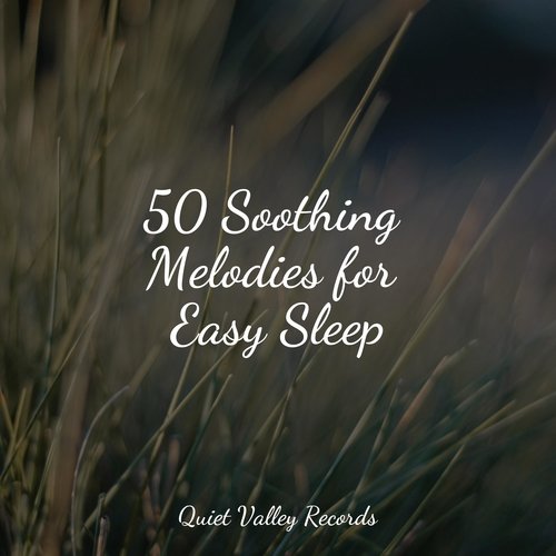 50 Soothing Melodies for Easy Sleep