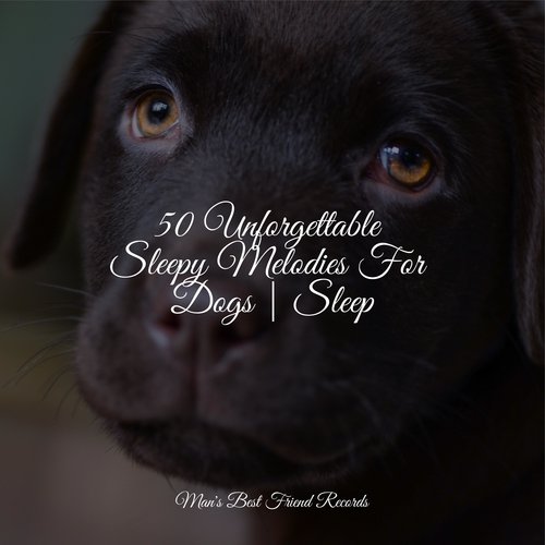 Meditating Music cover art