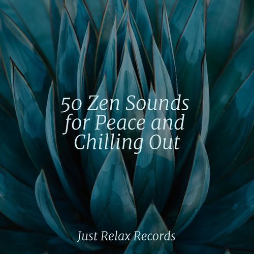 50 Zen Sounds for Peace and Chilling Out_poster_image