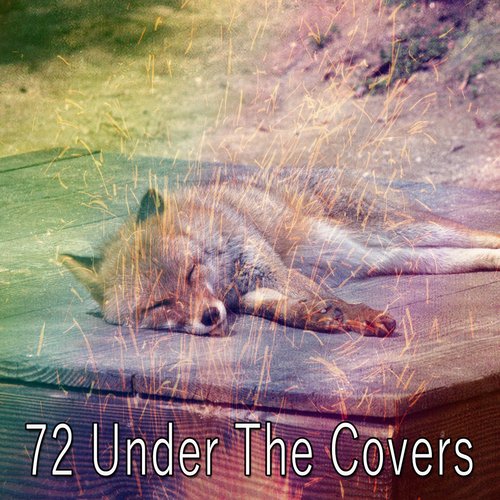 72 Under the Covers