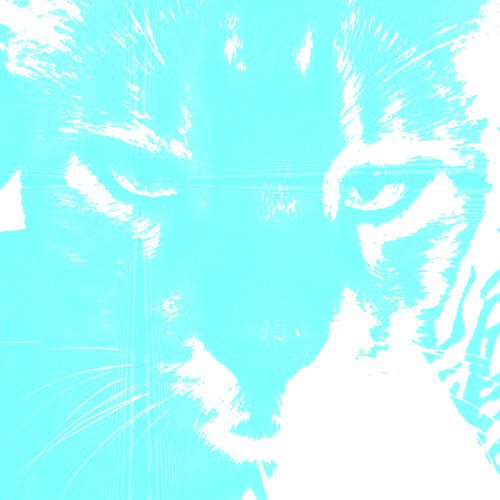 Adonis cover art