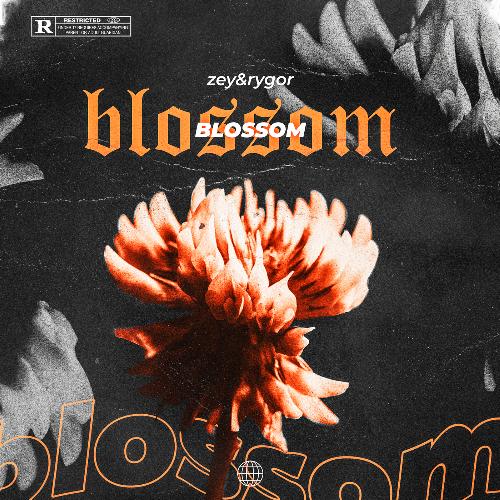 BLOSSOM_poster_image