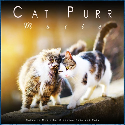 Calming Music for Relaxing Cats cover art