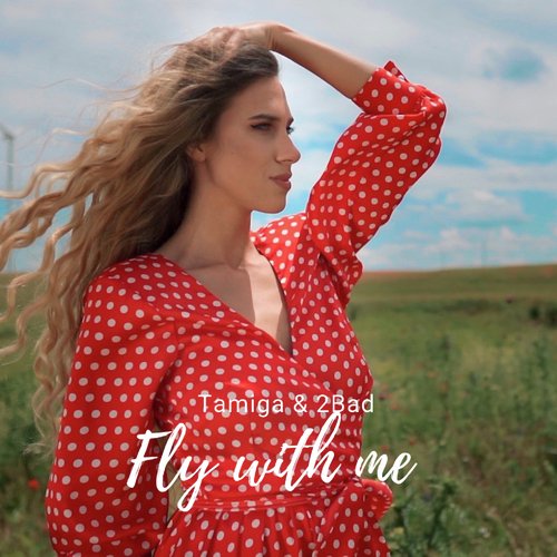 Fly with Me_poster_image