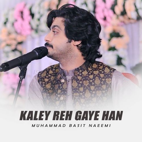 Kaley Reh Gaye Han