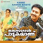 Kanne Kannin Maniye (Instrumental)