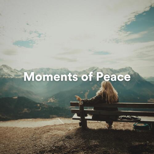 Moments of Peace_poster_image