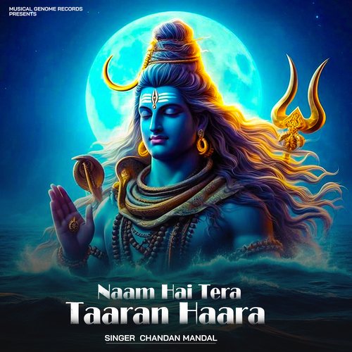 Naam Hai Tera Taaran Haara_poster_image