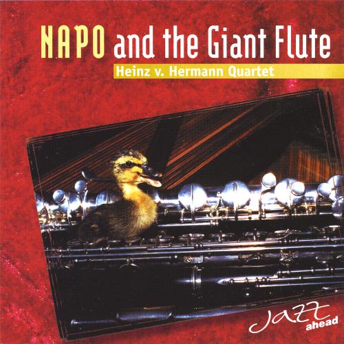 Napo and the Giant Flute_poster_image