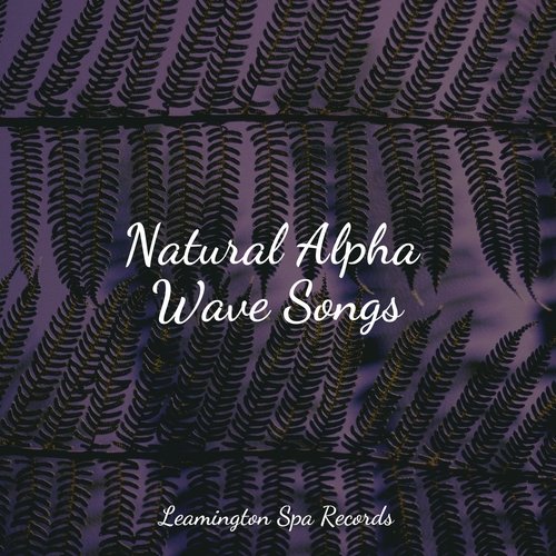 Natural Alpha Wave Songs