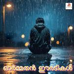 Poya Janmathinte Eeradikal