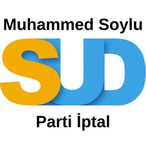 Ziynet Sali cover art