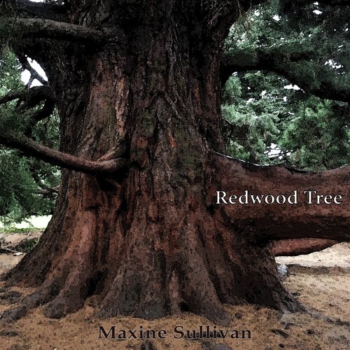 Redwood Tree_poster_image