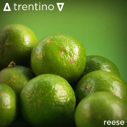 Reese cover art