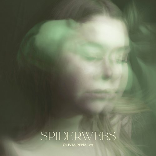 Spiderwebs_poster_image