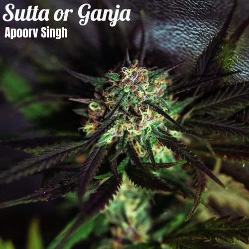 Sutta or Ganja