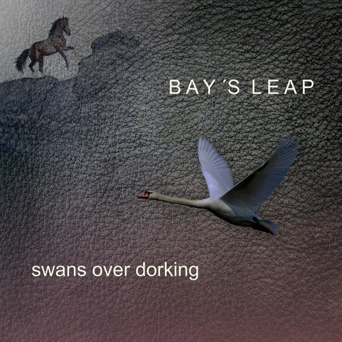 Swans over Dorking