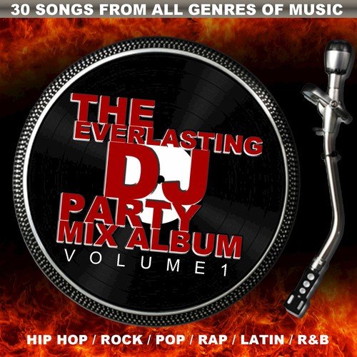 The Everlasting DJ Party Mix Album, Vol. 1