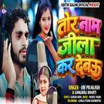 Tor Name Jila Kar Debau