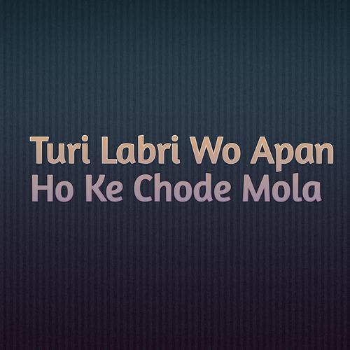 Turi Labri Wo Apan Ho Ke Chode Mola