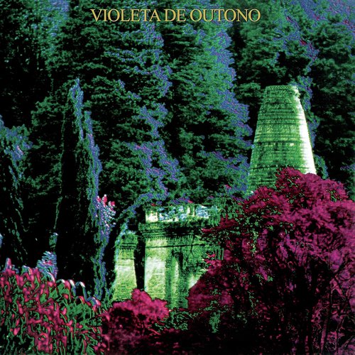 Violeta de Outono