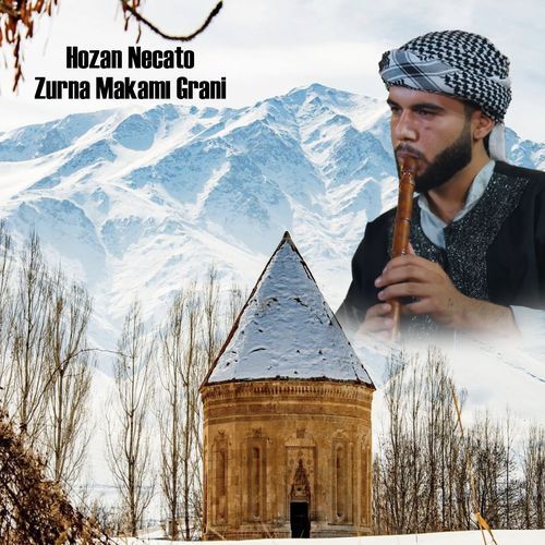 Vono cover art