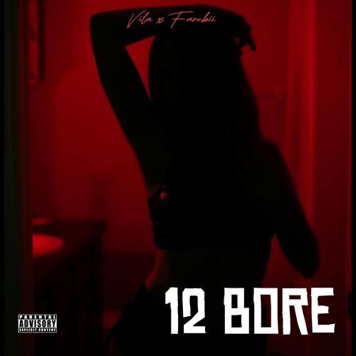 12 Bore
