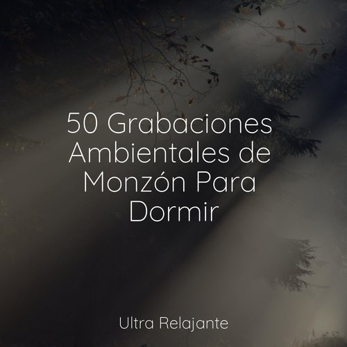 50 Grabaciones Ambientales de Monzón Para Dormir