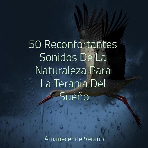 50 Reconfortantes Sonidos De La Naturaleza Para La Terapia Del Sueño