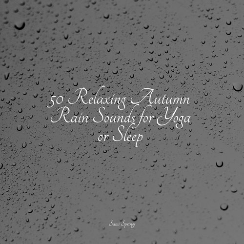 50 Relaxing Autumn Rain Sounds for Yoga or Sleep_poster_image