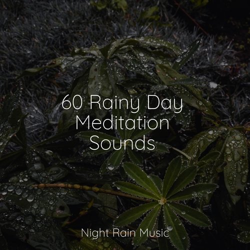 Rain, Storm and Thunder cover art