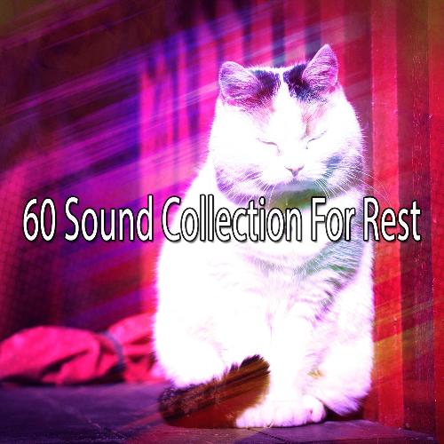 60 Sound Collection For Rest