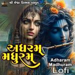 Adharam Madhuram Lofi