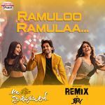 Ramuloo Ramulaa Official Remix artwork