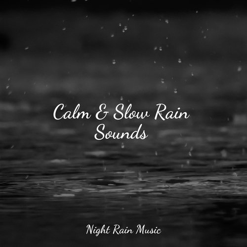Calm & Slow Rain Sounds