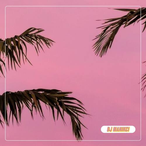 DJ DIkasih Naik No Name Crew Remix - Inst cover art