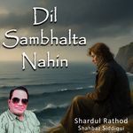 Dil Sambhalta Nahin