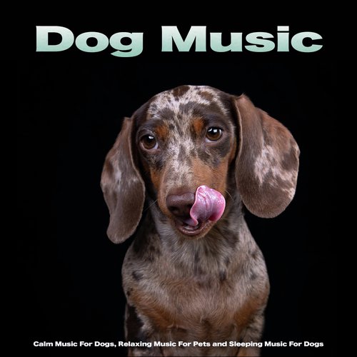 Dog Music cover art