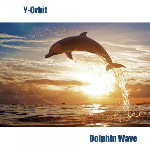 Dolphin Wave