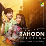 Kaise Rahoon Tere Bina artwork