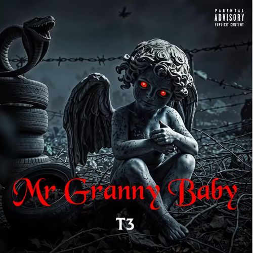 Mr Granny Baby
