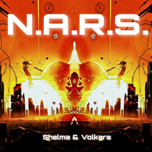 N.a.r.s._poster_image