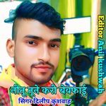 Neetu Tune Kari Bewafai artwork