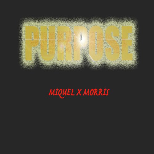 Purpose_poster_image