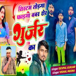 System Todga Fadga Bbar Sher Gurjar Ka