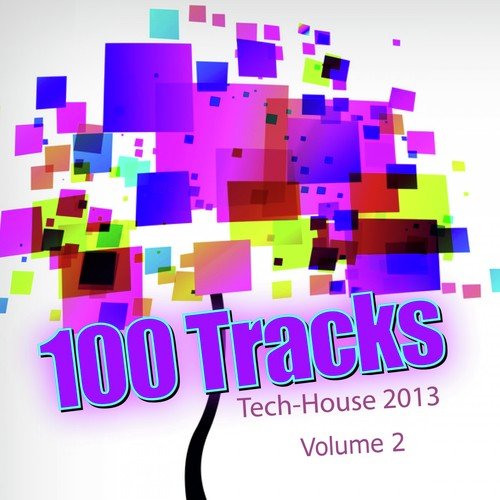 Tech-House 2013 - 100 Tracks, Vol. 2