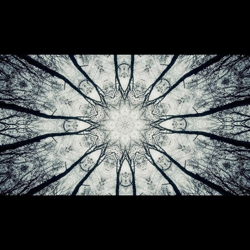 Science Man cover art