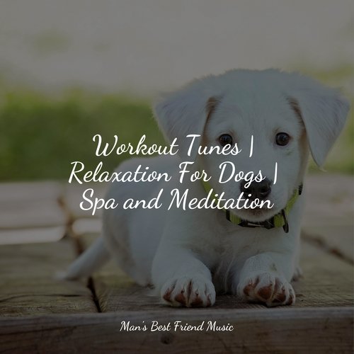 Meditating Music cover art